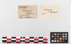Etiketten zu Perlenkette (NHMW-PRAE-023787)